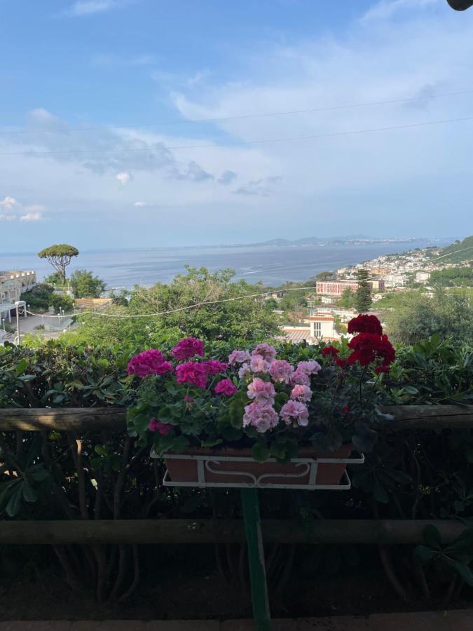 Guesthouse Coralba Casamicciola Terme Kültér fotó