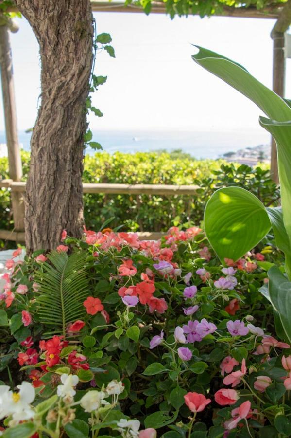 Guesthouse Coralba Casamicciola Terme Kültér fotó