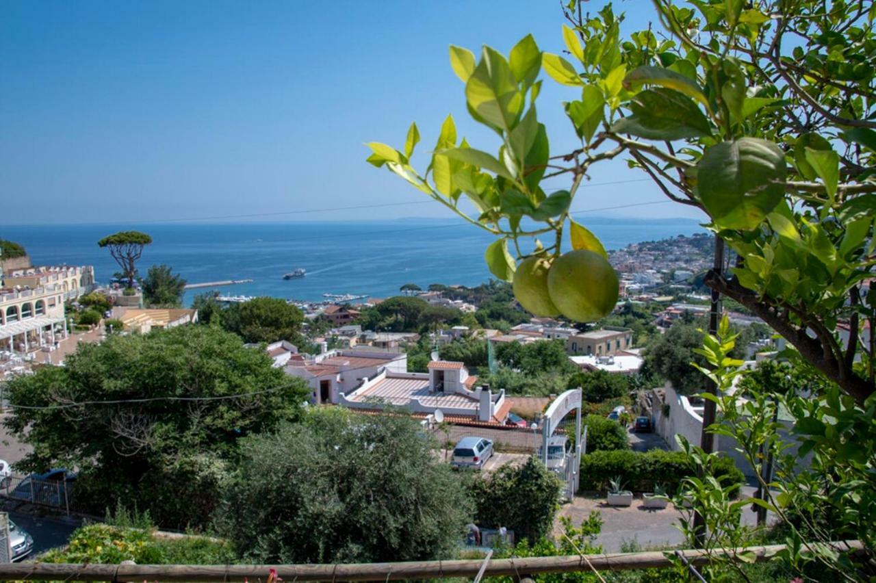 Guesthouse Coralba Casamicciola Terme Kültér fotó