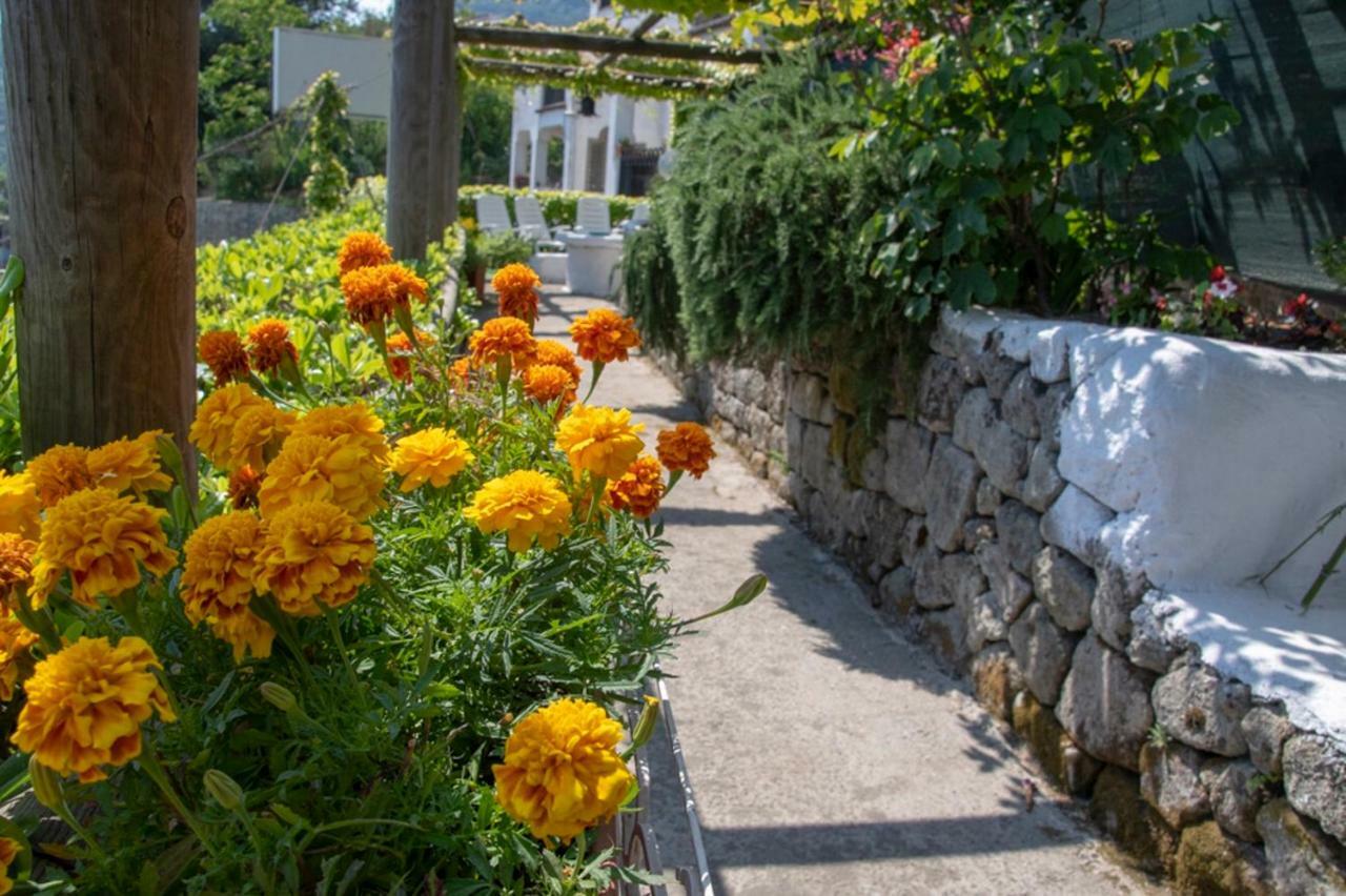 Guesthouse Coralba Casamicciola Terme Kültér fotó